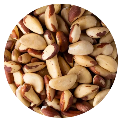 CASTAÑA PARA, NUEZ BRASIL BB