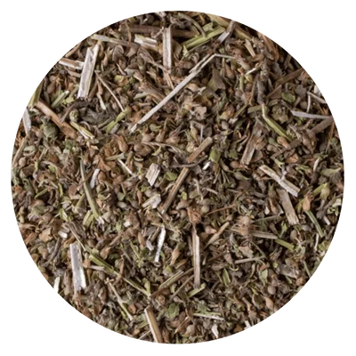 HIERBA MELISA TALLO Y HOJA