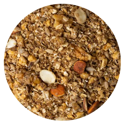 GRANOLA MANZANA JENGIBRE 1 KG