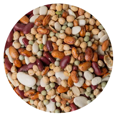 MIX LEGUMBRE COCCION LENTA 1 KG
