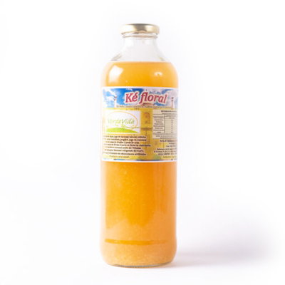 KEFIR BOTELLA X 1LT VERDE VIDA