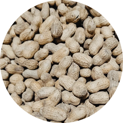 MANI CON CASCARA  COMÚN