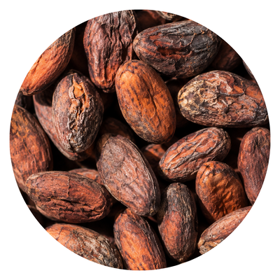 SEMILLA DE CACAO
