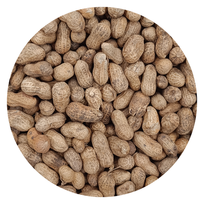MANI CON CASCARA  COMÚN