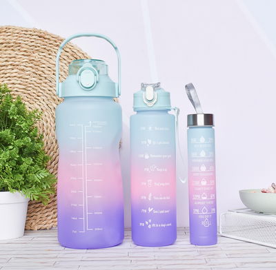 Botellas motivacionales x3