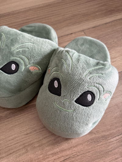 Pantuflas bordadas 