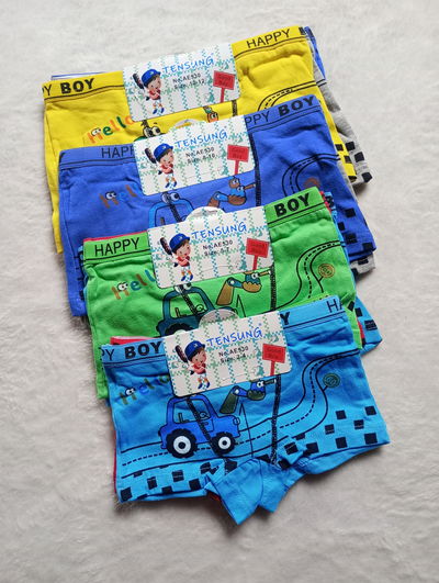 Boxer de niños boy 