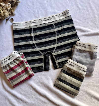 Boxer Calvink Rayados