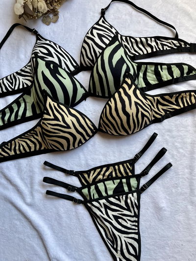 Conjunto FEDRA 