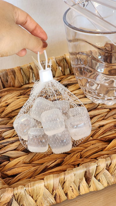 HIELOS REUTILIZABLES ×10