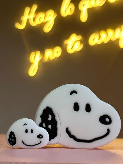 Funda SNOOPY