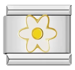 Charm flor