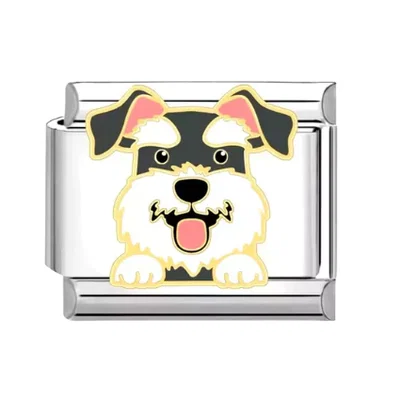Charm perrito Schnauzer