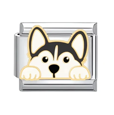 Charm perrito husky siberiano
