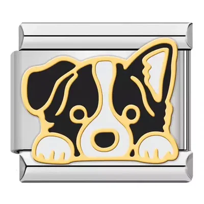 Charm perrito Border Collie