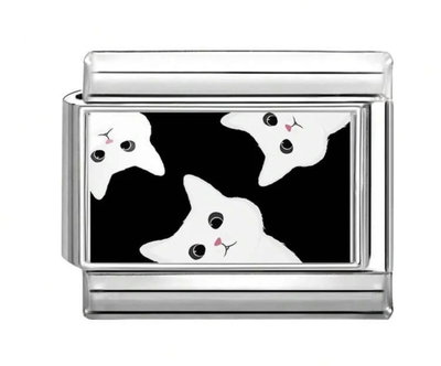 Charm gatos 