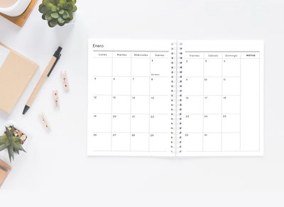 PDF CALENDARIO MINIMALISTA 2026 + TAPA DE REGALO!