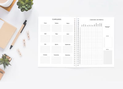PDF CALENDARIO MINIMALISTA 2026 + TAPA DE REGALO!