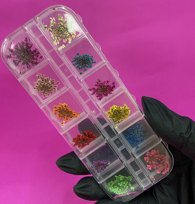 Flores secas pack x12 - City girl