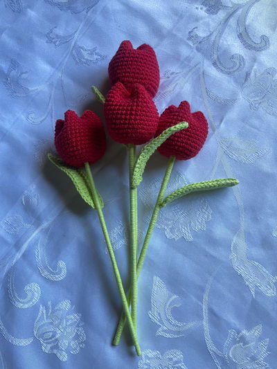 tulipanes