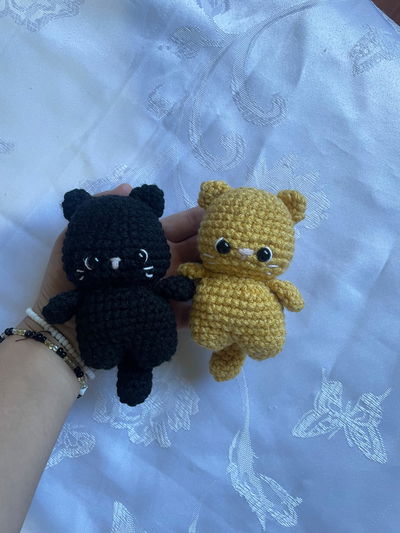 gatito 
