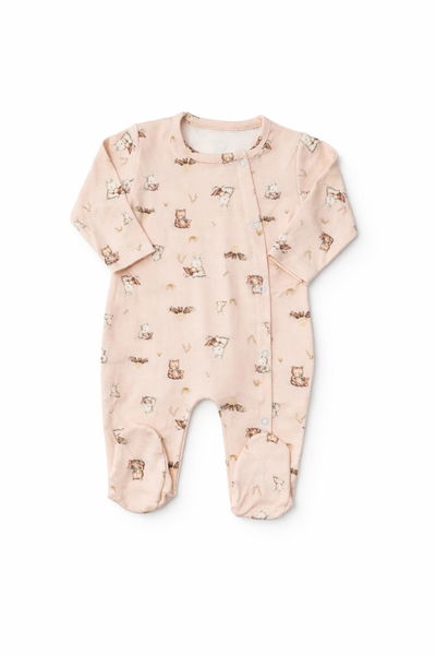 Enterito Oso y Conejo