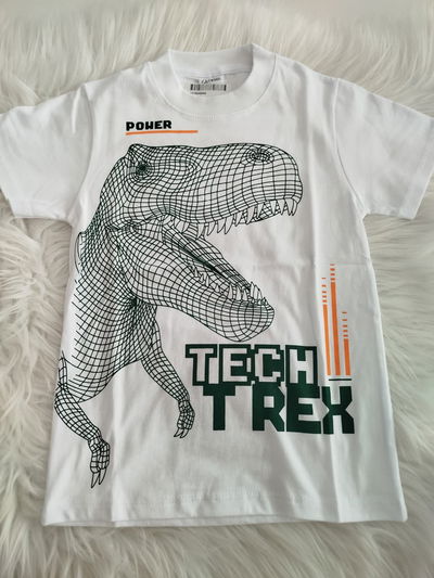 Remera TRex