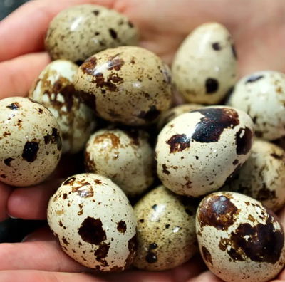 Huevos de codorniz