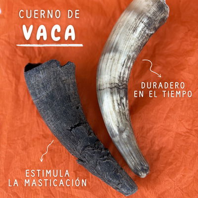 CUERNO de VACA