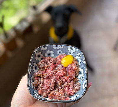 Vianda Barf Perro - Estándar 