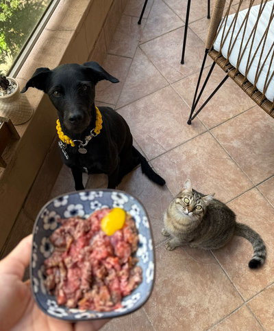 Vianda Sin Hueso Carnoso (Gato & Perro)