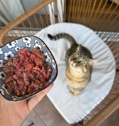 Vianda Barf Gato - Sin Hueso Carnoso