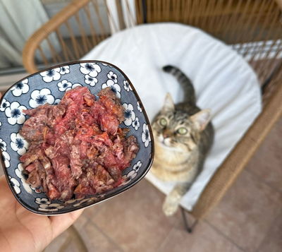 Vianda Barf Gato - Estándar 