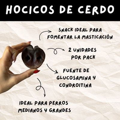 HOCICOS de CERDO (x2)