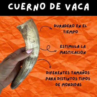 CUERNO de VACA