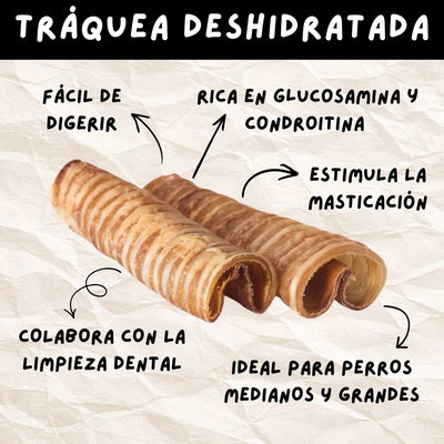 TRÁQUEA DESHIDRATADA