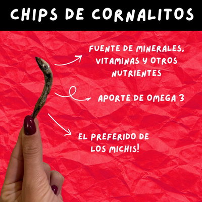 CHIPS de CORNALITOS