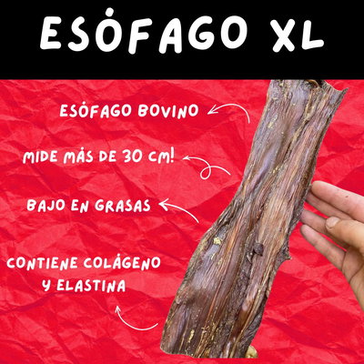 ESÓFAGO XL