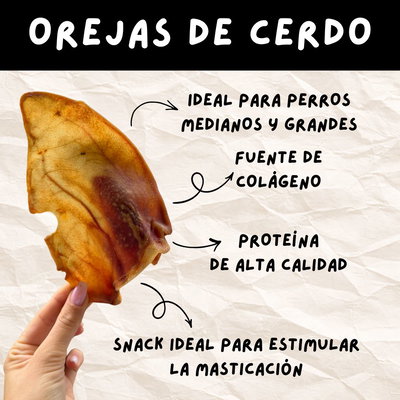 OREJA de CERDO