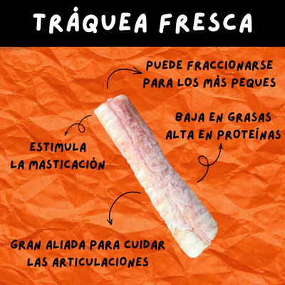 TRÁQUEA FRESCA