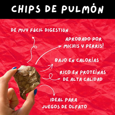 CHIPS de PULMÓN