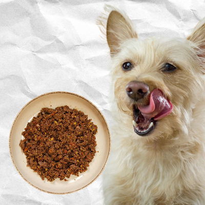 Vianda Cocida Suplementada - Perro