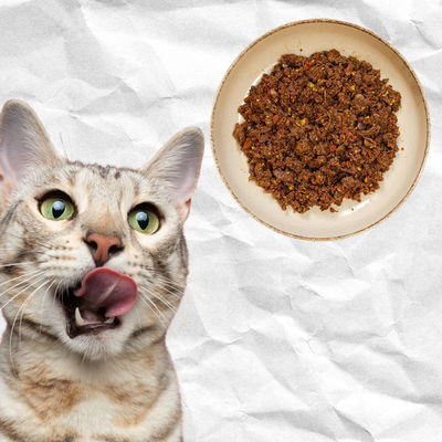 Vianda Cocida Suplementada - Gato