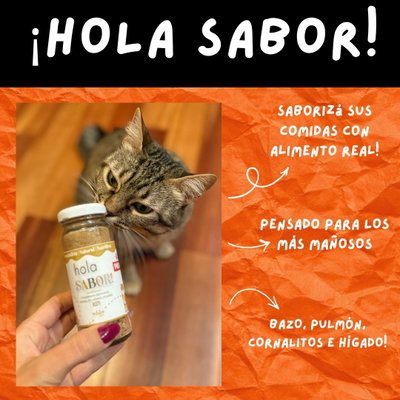 ¡HOLA SABOR!