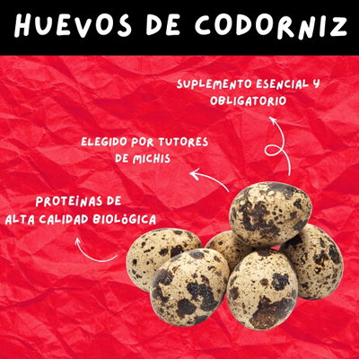 Huevos de codorniz