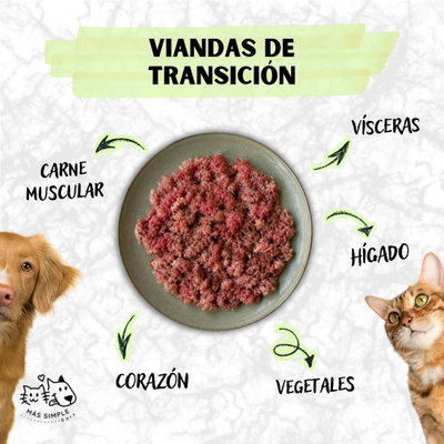 Vianda Sin Hueso - "Transición" (Gato & Perro)