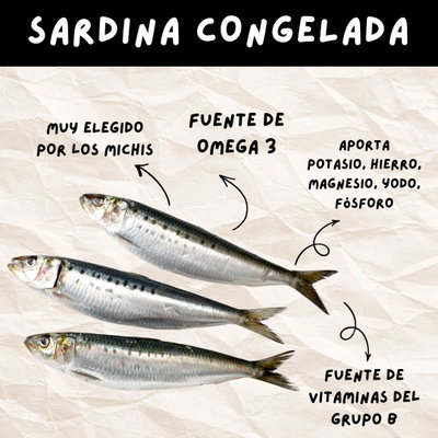 Sardina congelada