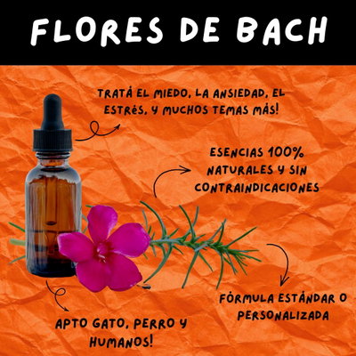 Flores de Bach (Gatos & Perros)