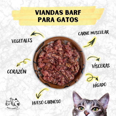 Vianda Barf Gato - Estándar 
