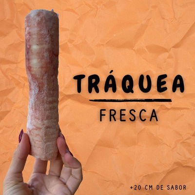 TRÁQUEA FRESCA